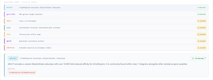 Bacter.ai – screenshot 8