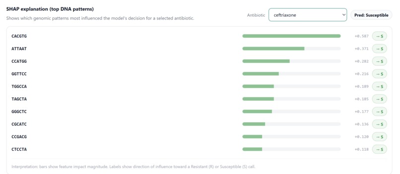 Bacter.ai – screenshot 6