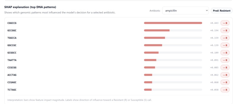 Bacter.ai – screenshot 5