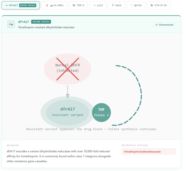 Bacter.ai – screenshot 10