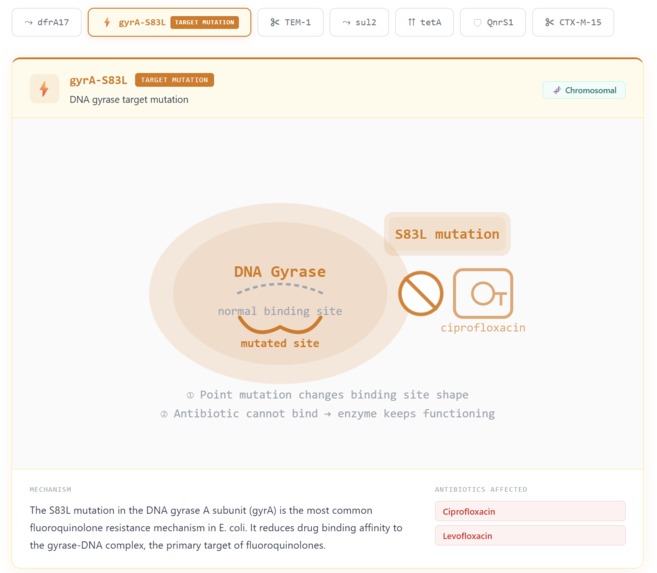 Bacter.ai – screenshot 11