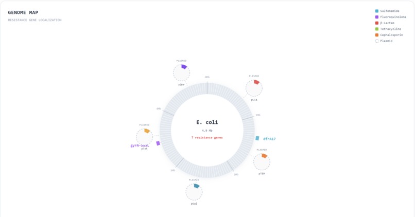 Bacter.ai – screenshot 7