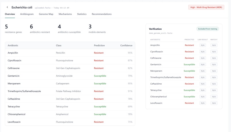 Bacter.ai – screenshot 3
