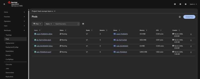meta terminal – screenshot 6