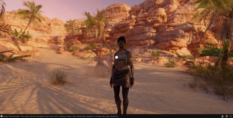 Playable.exe – screenshot 1