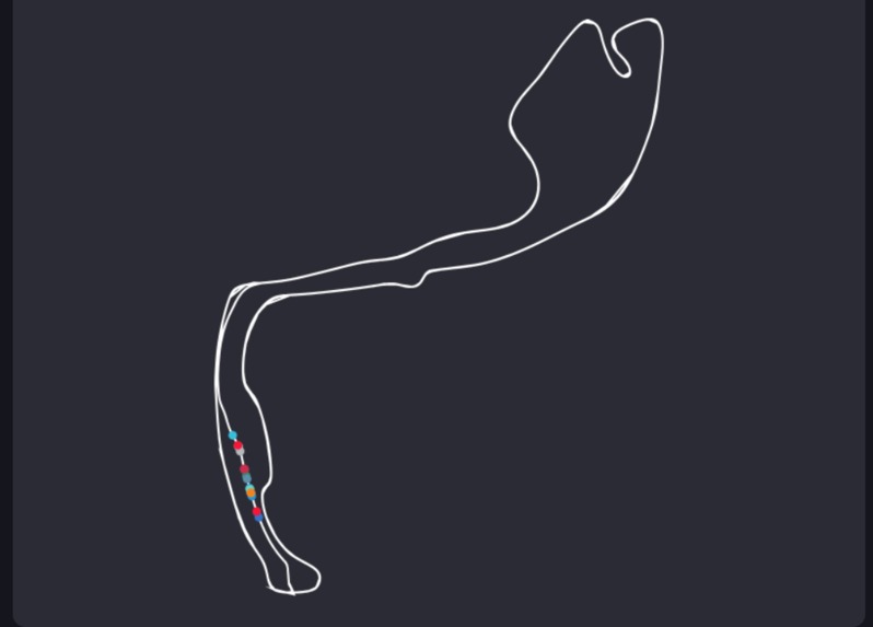 F1 Vision – screenshot 2