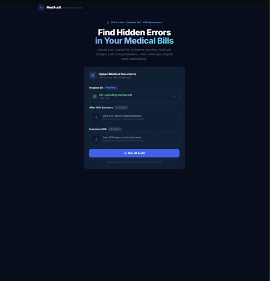 MedAudit AI – screenshot 2