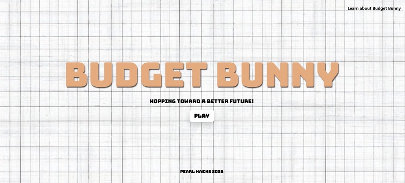 BudgetBunny – screenshot 1