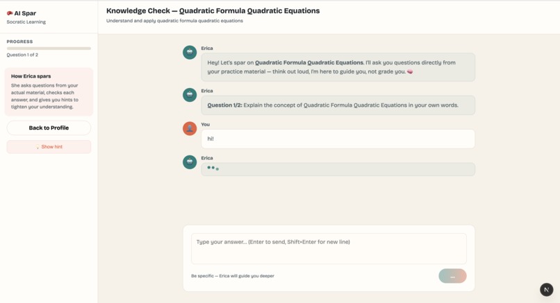 Erica AI – screenshot 1