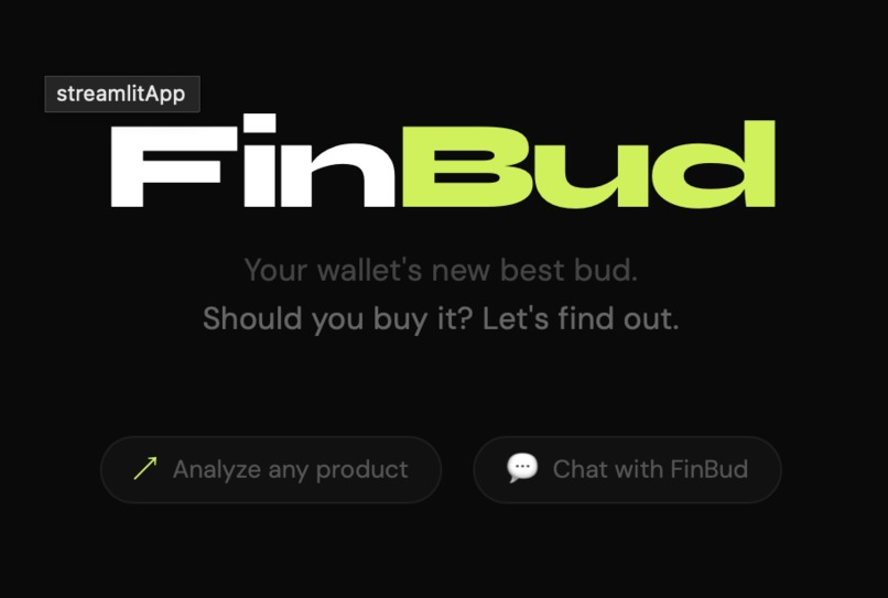 FinBud – screenshot 1