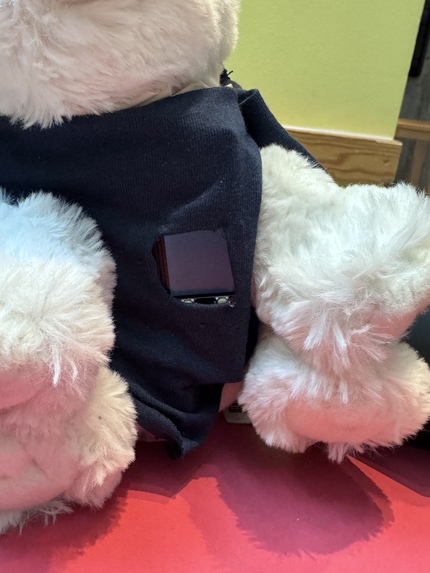 Bless You Polar Bear – screenshot 3