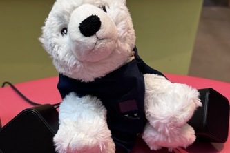 Bless You Polar Bear