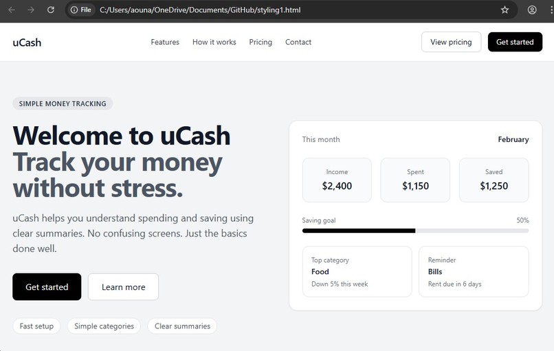 front end of website/ fiannce tracker – screenshot 1