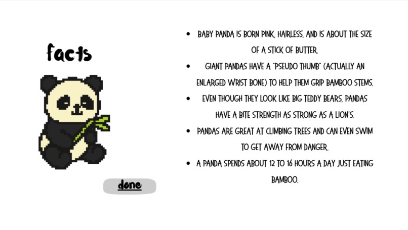 Pocket Paws-1A – screenshot 2