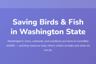 Washington Wild - Team 1D