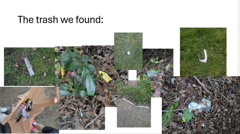 Park Management – screenshot 1