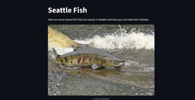 Washington Wild - Team 1D – screenshot 6
