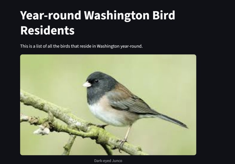 Washington Wild - Team 1D – screenshot 7
