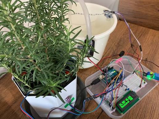 Arduino smart irrigation system  – screenshot 1