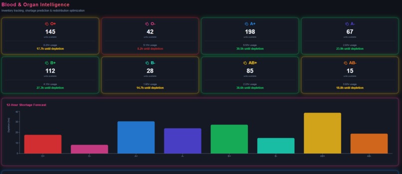 AURORA  – screenshot 3