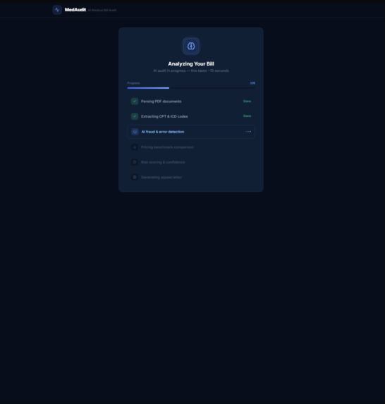 MedAudit AI – screenshot 2