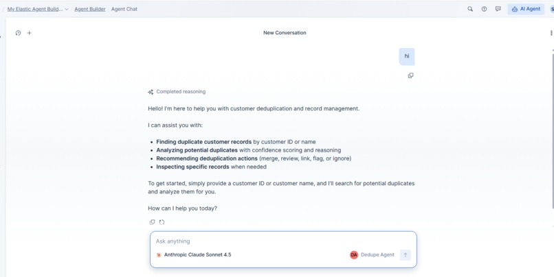 Explainable Duplicate Detection Agent for Data Quality  – screenshot 1