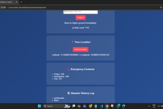 Real-Time Disaster Risk Analysis System