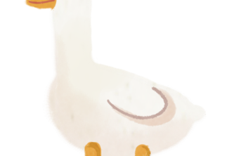 Egg & Geese