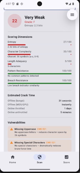 DIFA (Digital Footprint Analyzer) – screenshot 4