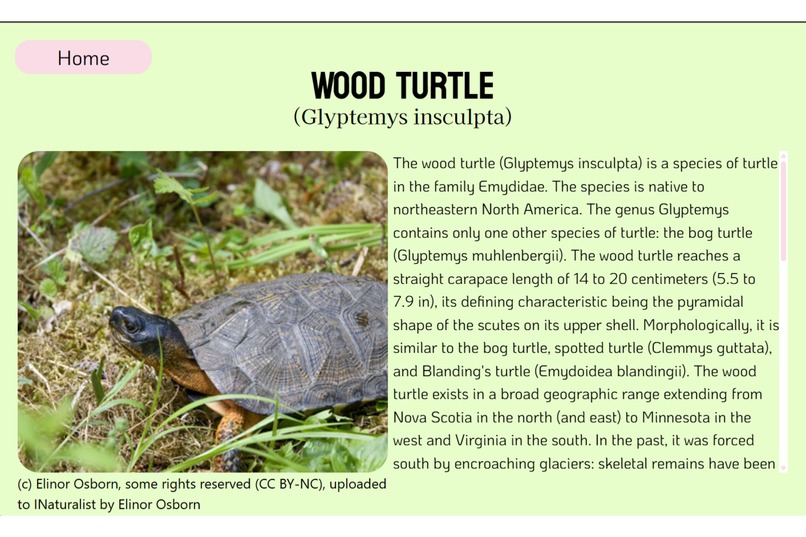 My Animal Book – screenshot 2