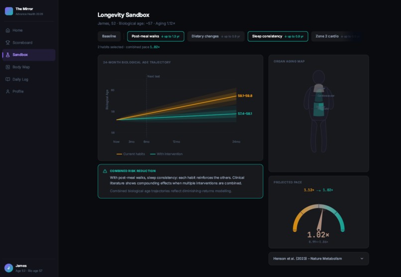 The Mirror – screenshot 3