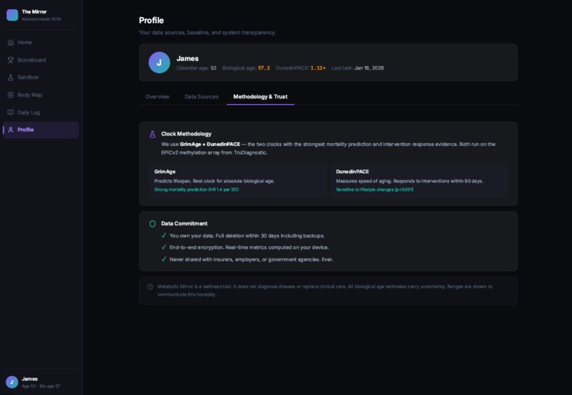 The Mirror – screenshot 5