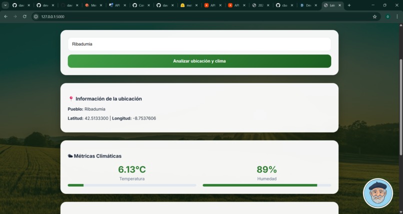 LeirAnalyzer – screenshot 2