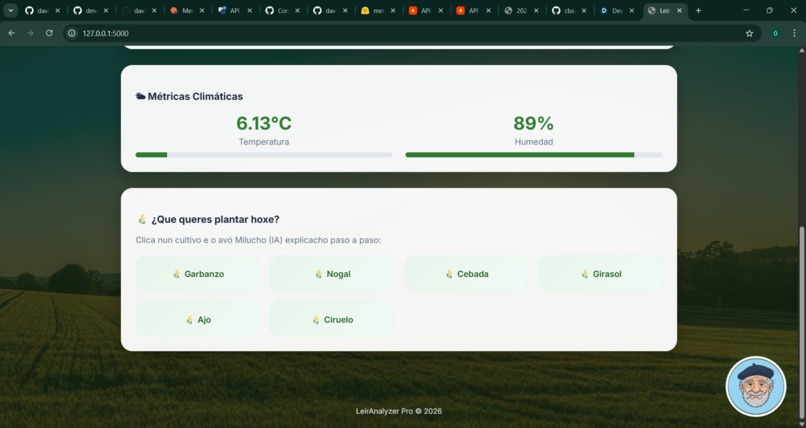 LeirAnalyzer – screenshot 3