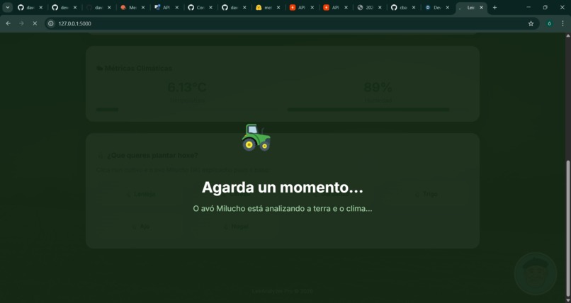 LeirAnalyzer – screenshot 4