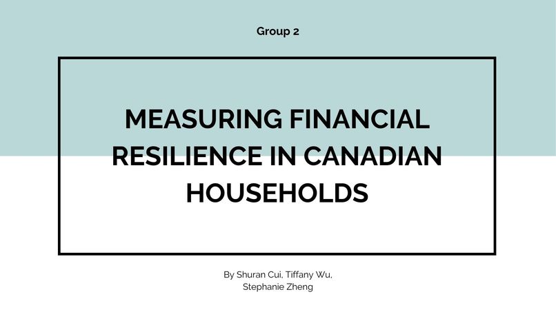 Measuring Financial Resilience in Canadian Households - Tm 2 – screenshot 4