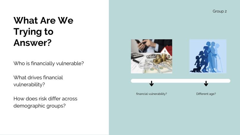 Measuring Financial Resilience in Canadian Households - Tm 2 – screenshot 9