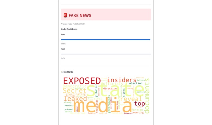 Fake News Detector (Multimodal) – screenshot 5