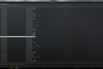 The Lazy Disassembler