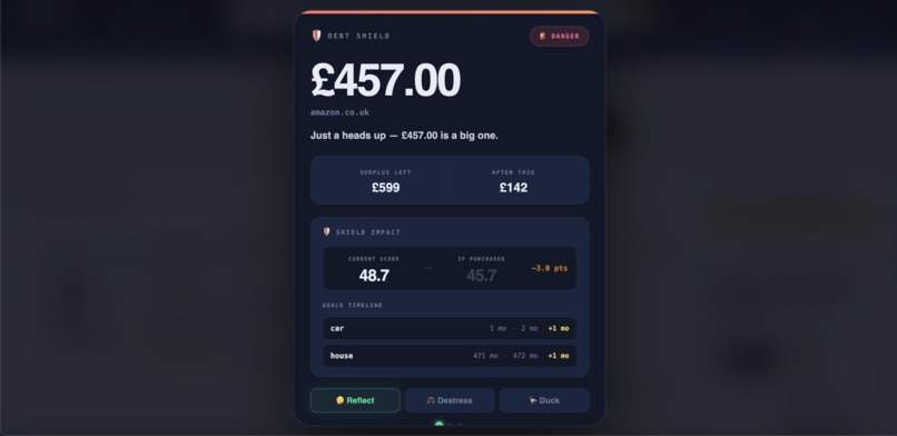 DebtShield – screenshot 4