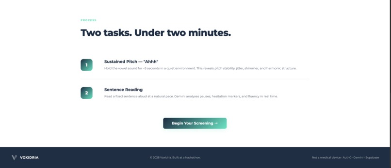 Voxidria – screenshot 4
