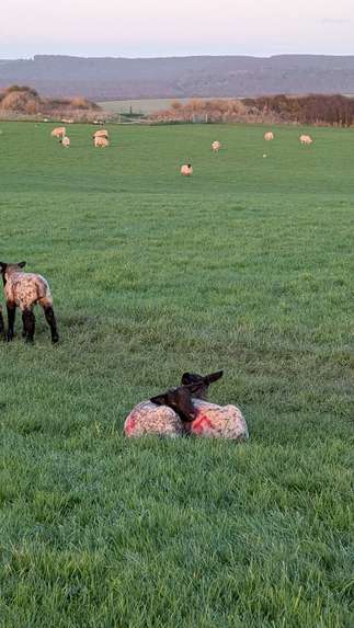 Points Failure – screenshot 7