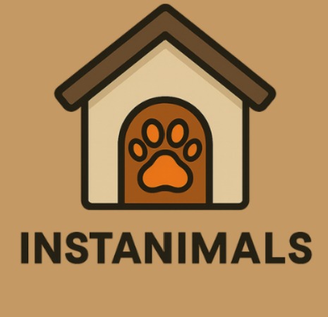 Instanimals – screenshot 1