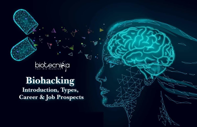 NeuroShield AI – Early Alzheimer’s Risk Prediction  – screenshot 1