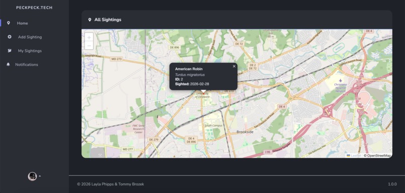 PeckPeckTech – screenshot 2