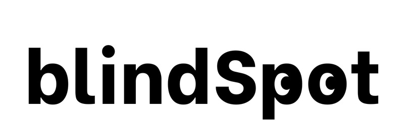 blindSpot – screenshot 2