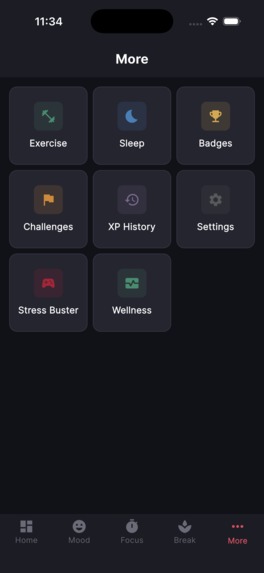MindMesh – screenshot 2