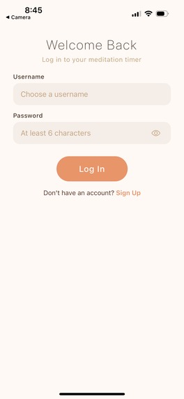 Amber – screenshot 4