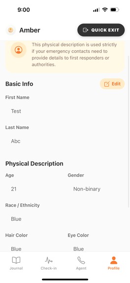 Amber – screenshot 8