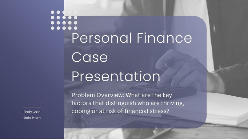 Key Factors of Financial Resilience - Team 8  – screenshot 4